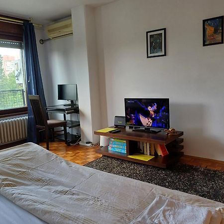 Apartment Student City, Wifi 300Mbs Βελιγράδι Εξωτερικό φωτογραφία