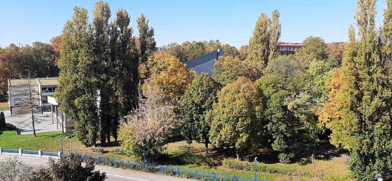 Apartment Student City, Wifi 300Mbs Βελιγράδι Εξωτερικό φωτογραφία